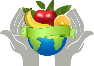 食品安全监管的典范 构建令人惊叹的食品安全体系