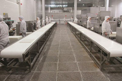 四川龙旺食品 品质与创新的食品行业典范