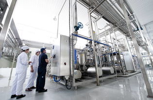 马鞍山某食品加工厂内部被曝光，食品安全问题引人关注